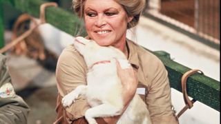 Dans l’autre propriété de Brigitte Bardot, à quelques minutes de La Madrague, le sort de ses animaux reste incertain