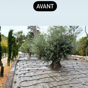 Avant/après de la nouvelle maison de Karine Le Marchand.