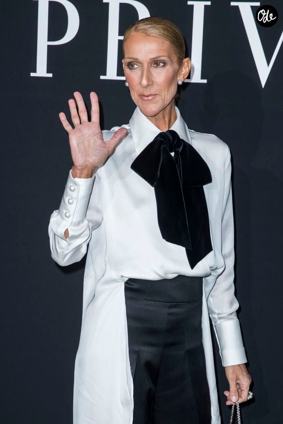 "Proposés en avant-première dès le 3 septembre, en exclusivité dans un pop-up dédié des Galeries Lafayette Paris Haussmann au 3ème étage du bâtiment Coupole", a-t-il été révélé dans un communiqué

Celine Dion au photocall du défilé de mode Haute-Couture printemps-été 2019 "Giorgio Armani Prive Haute Couture" à Paris. Le 22 janvier 2019
© Olivier Borde / Bestimage