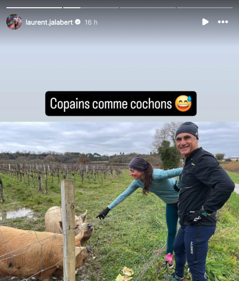 Laurent Jalabert et Marion ont fait la rencontre d’animaux imposants