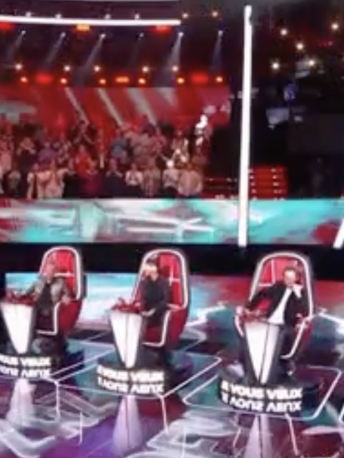 Qui sont les nouveaux coachs de The Voice ? Des anciens de retour et l'arrivée surprise d'une gagnante de la Star Academy