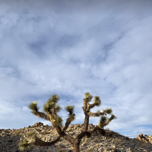 Comme on peut le voir sur son compte Instagram et celui de sa compagne Natasha Andrews, mère de ses enfants Lola (2017) et Billie (2019), le couple se trouve dans 

Pierre Niney et Natasha Andrews aux Etats-Unis en 2025.