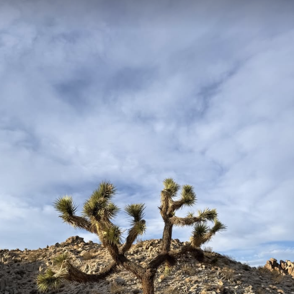 Comme on peut le voir sur son compte Instagram et celui de sa compagne Natasha Andrews, mère de ses enfants Lola (2017) et Billie (2019), le couple se trouve dans 

Pierre Niney et Natasha Andrews aux Etats-Unis en 2025.