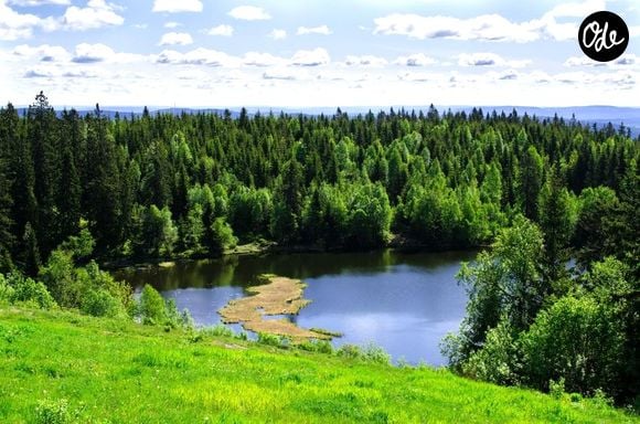 La forêt de la Nordmarka, aux portes d’Oslo - © Nanisimova / 123RF