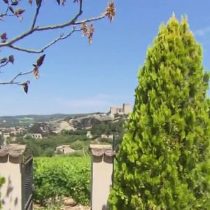 Michel Drucker dévoile des images de la maison de Mimie Mathy située à Vaison-la-Romaine dans l'émission Vivement dimanche le 9 février 2025 sur France 3.