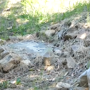 Chaque chien possède une tombe avec une plaque de marbre gravée à son nom.
Vincent Lagaf' ouvre les portes de son cimetière pour chiens, dans sa maison.
