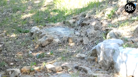 Chaque chien possède une tombe avec une plaque de marbre gravée à son nom.

Vincent Lagaf' ouvre les portes de son cimetière pour chiens, dans sa maison.