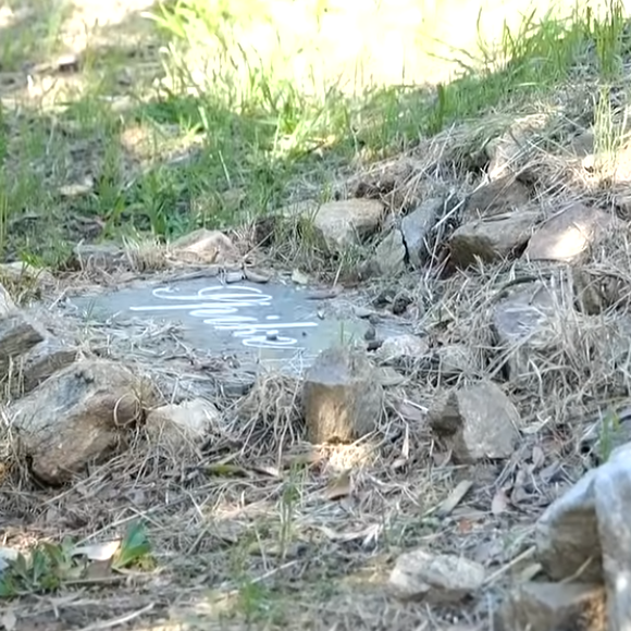 Chaque chien possède une tombe avec une plaque de marbre gravée à son nom.

Vincent Lagaf' ouvre les portes de son cimetière pour chiens, dans sa maison.
