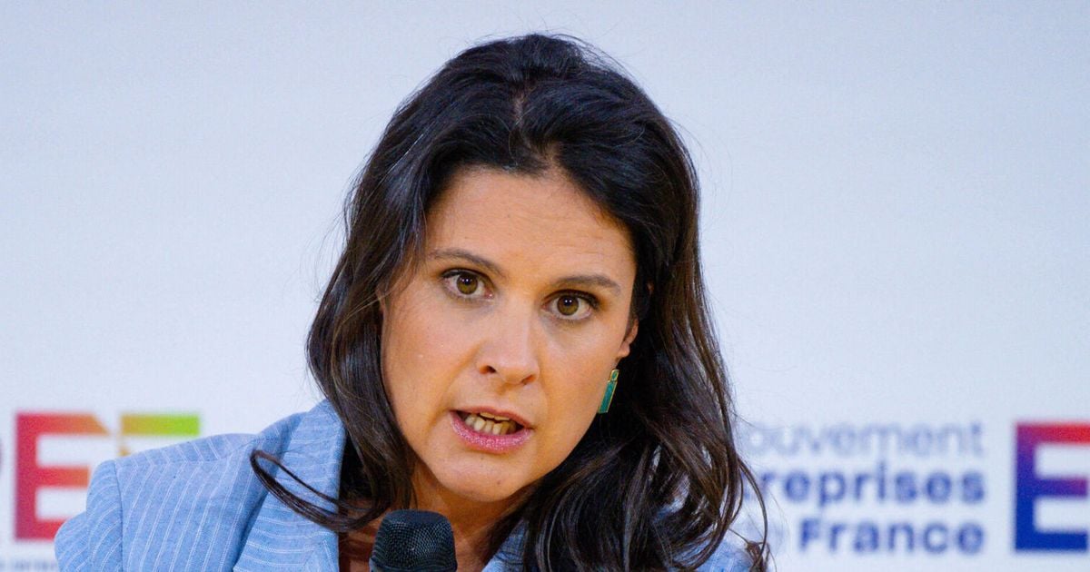 Apolline de Malherbe : Zoom sur son look audacieux avec jupe cuir et ...