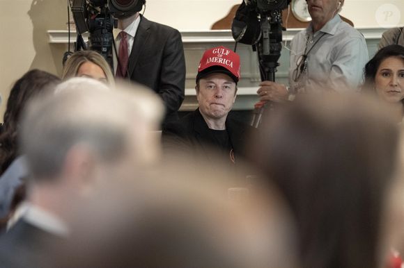 À Washington DC, dans le cabinet de Donald Trump, Elon Musk.  Backgrid USA / Bestimage
