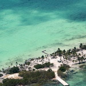 Exclusif -  Vues aériennes de Blackadore Caye, l'île privée au large des côtes du Belize que l'acteur et environnementaliste Leonardo DiCaprio a achetée en 2015 pour 1,75 million de dollars. L'île est bordée de palmiers mourants et le rivage est recouvert d'algues vertes à Blackadore Caye, au Belize, le 5 juin 2021. Coleman-Rayner / Bestimage
