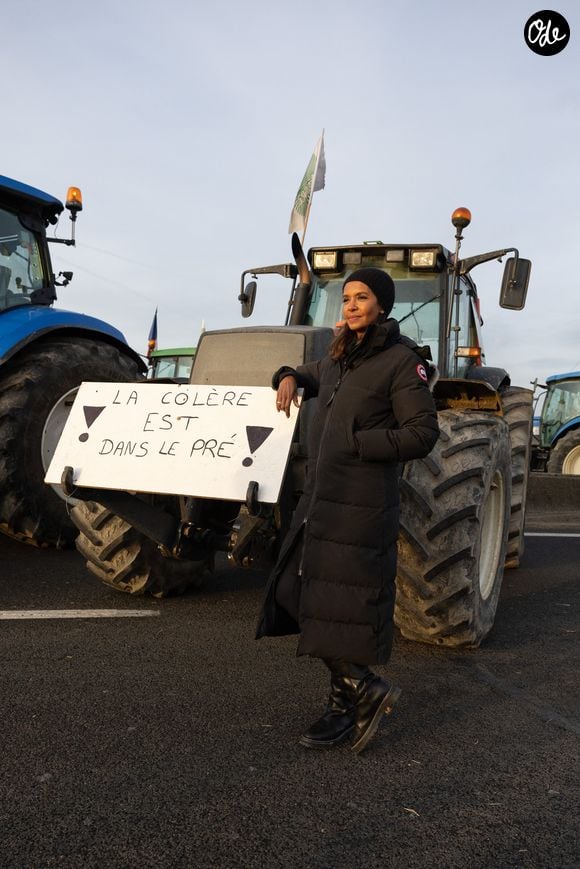 Karine Le Marchand soutient les agriculteurs sur le barrage de l'Autoroute A4 à hauteur de Jossigny en Seine et Marne le 29 Janvier 2024. Comme elle l'avait annoncé la semaine dernière, l'animatrice de l'émission "L'amour est dans le pré", Karine Le Marchand, a amené près de 200 croissants aux agriculteurs sur un barrage sur l'autoroute A4.
© Jeremy Melloul - Pierre Perusseau / Bestimage
