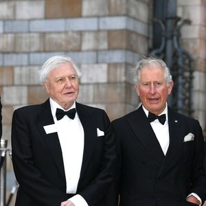 Le prince William, duc de Cambridge, Sir David Attenborough, le prince Charles, prince de Galles, le prince Harry, duc de Sussex lors de la première mondiale de la série Netflix "Our Planet" au Musée d'histoire naturelle de Londres. © Backgrid UK/ Bestimage