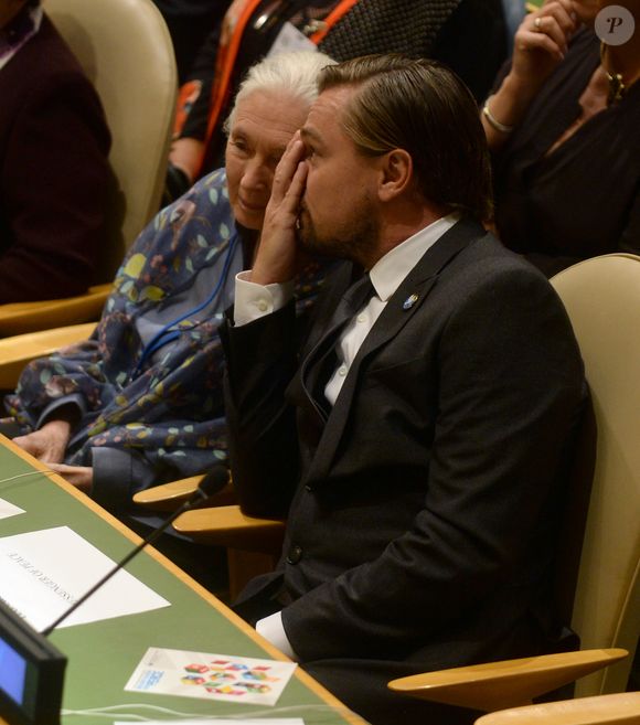 Leonard Dicaprio et Jane Goodall - People à la célébration du 35ème anniversaire de la journée internationale de la paix à l'ONU à New York le 16 septembre 2016. Photo : Agence - Bestimage