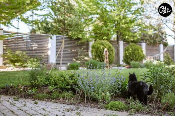 Un bon enracinement prépare une floraison généreuse au printemps.

Photo prise par Tatyana Rubleva / Unsplash
