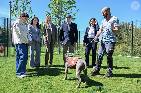 Le Prince Albert II, la Princesse Charlène de Monaco, la Princesse Stéphanie de Monaco, Camille Gottlieb, Mélanie-Antoinette de Massy et Gareth Wittstock ont visité les nouveaux locaux de la SPA de Monaco. 

© Bruno Bebert/Bestimage