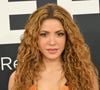La chanteuse privilégie une alimentation composée de produits frais, de protéines de qualité et de nombreux légumes.

Shakira lors de la 67e cérémonie des Grammy Awards 2025 à Los Angeles, le 2 février 2025.

© Broadimage / Bestimage