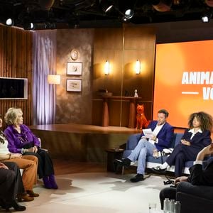 Exclusif - Amanda Lear, Bernard Montiel, Raphaël Mezrahi et Oli sur plateau de l'émission "Animalement Vôtre" présentée par B.Montiel et diffusée le 4 janvier 2026 sur France 3, à Paris, France, le 3 décembre 2025. © Jack Tribeca/Bestimage