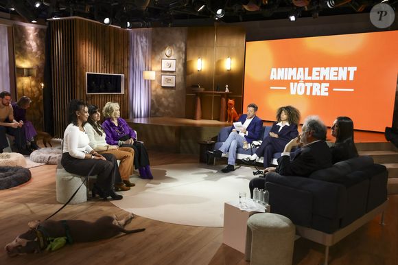 Exclusif - Amanda Lear, Bernard Montiel, Raphaël Mezrahi et Oli sur plateau de l'émission "Animalement Vôtre" présentée par B.Montiel et diffusée le 4 janvier 2026 sur France 3, à Paris, France, le 3 décembre 2025. © Jack Tribeca/Bestimage