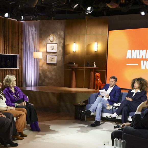 Exclusif - Amanda Lear, Bernard Montiel, Raphaël Mezrahi et Oli sur plateau de l'émission "Animalement Vôtre" présentée par B.Montiel et diffusée le 4 janvier 2026 sur France 3, à Paris, France, le 3 décembre 2025. © Jack Tribeca/Bestimage