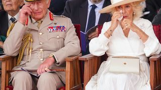 Un membre de la famille royale vient de s'éteindre "paisiblement", Charles III, Camilla, Kate et William s'expriment à l'unisson