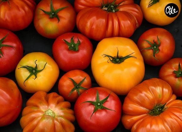 Le gaspacho est une excellente alternative : il conserve la vitamine C tout en libérant le lycopène grâce au broyage, surtout avec un filet d’huile d’olive.

Photo by Shelley Pauls / Unsplash