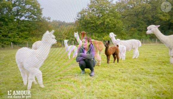 L'éleveuse d'alpagas a fait sensation auprès de la gente masculine suite à la diffusion de son portrait

Géraldine, nouvelle candidate de "L'amour est dans le pré". M6