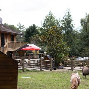 Le site accueille aujourd’hui près de 1 000 animaux, dans un cadre naturel et protégé.

Photo du refuge de la Fondation Brigitte Bardot à Bazoches-sur-Guyonne, en région parisienne le 7 août 2023. Photo par Raphael Lafargue/ABACAPRESS.COM