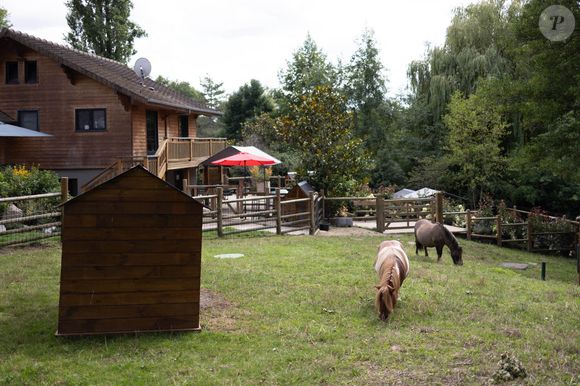 Le site accueille aujourd’hui près de 1 000 animaux, dans un cadre naturel et protégé.

Photo du refuge de la Fondation Brigitte Bardot à Bazoches-sur-Guyonne, en région parisienne le 7 août 2023. Photo par Raphael Lafargue/ABACAPRESS.COM