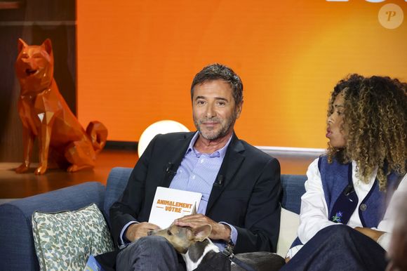 Exclusif - Bernard Montiel, Oli, sur plateau de la nouvelle émission "Animalement Vôtre" présentée par Bernard Montiel et diffusée le 16 novembre sur France 3, à Paris, France, le 14 octobre 2025. © Jack Tribeca/Bestimage