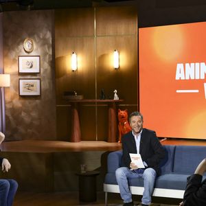 Que ce soit en devenant parrain d'une association normande venant en aide aux chats handicapés ou abandonnés

Exclusif - Thomas Dutronc et Bernard Montiel 
Jack Tribeca / Bestimage