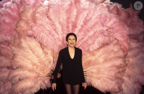 Zizi Jeanmaire Zenith de Paris 1995 - Archive Portrait
JLPPA / Bestimage