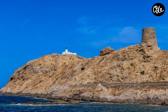 Sa démarche et sa prestance rappellent déjà les débuts de Laetitia Casta dans les années 1990.

Illustration - Photocall du défilé "Le Bonheur" By Jacquemus au phare de la Pietra à l'Ile Rousse en Corse le 29 juin 2026. © Luis Sanchez / Crystal / Bestimage