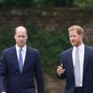 Le prince William et Harry touchés par la perte d'une femme d'exception avec qui Archie a vécu un moment particulier