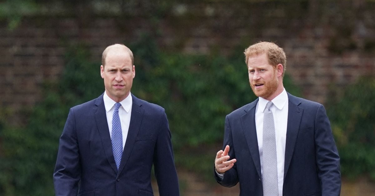 Le prince William et Harry touchés par la perte d'une femme d'exception  avec qui Archie a vécu un moment particulier - Purepeople