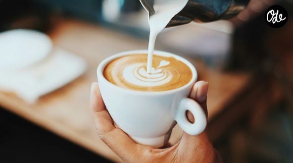Image Unsplash