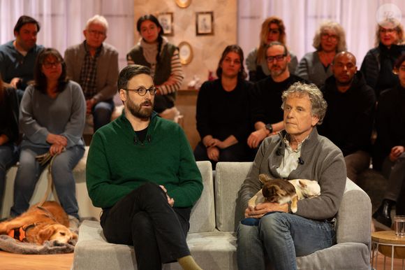 Exclusif - Bernard Montiel, Raphaël Mezrah, Oli. avec Charles Berling et Charles Edouard Fusari invités, Olivia Juriste et Sylvain Vétérinaire sur plateau de l'émission "Animalement Vôtre" présentée par Bernard Montiel et diffusée le XXX sur France 3, à Paris, France, le 12 janvier 2026. © Julien Sarkissian/Bestimage