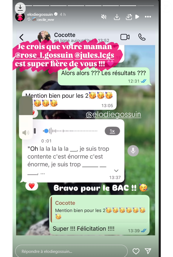 Elodie Gossuin, instagram