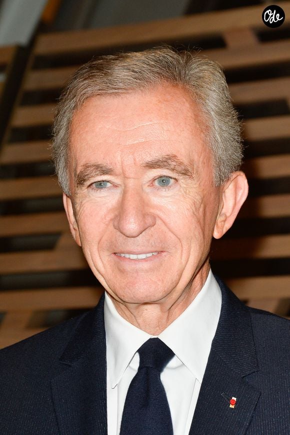 Bernard Arnault - Exposition "Etre moderne : Le MoMA à Paris" à la Fondation Louis Vuitton de Paris le 9 octobre 2017. © Coadic Guirec/Bestimage