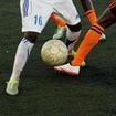 "Aujourd'hui je me régale dans mon métier" : L'ancien footballeur Samuel Darchy s'est reconverti dans un domaine qui n'a rien à voir