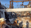 Cet élan de solidarité réchauffe les cœurs face aux épreuves destructrices provoquées par les feux estivaux.

Laeticia Hallyday dévoile sa maison ravagée par les incendies en janvier 2025 sur Instagram