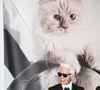 Pour rappel, Azraël est le chat de Gargamel dans le célèbre dessin animé.
Karl Lagerfeld au vernissage "Corsa Karl et Choupette" à Berlin en Allemagne, le 3 février 2015.
Photo : API / Bestimage