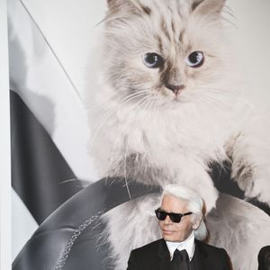 Pour rappel, Azraël est le chat de Gargamel dans le célèbre dessin animé.

Karl Lagerfeld au vernissage "Corsa Karl et Choupette" à Berlin en Allemagne, le 3 février 2015.

Photo : API / Bestimage