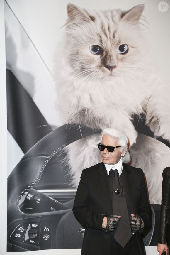Pour rappel, Azraël est le chat de Gargamel dans le célèbre dessin animé.

Karl Lagerfeld au vernissage "Corsa Karl et Choupette" à Berlin en Allemagne, le 3 février 2015.

Photo : API / Bestimage