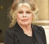 Il avait écrit pour les plus grands, comme Brigitte Bardot

La légende du cinéma devenue militante des droits des animaux Brigitte Bardot quitte le Palais de l'Elysée à Paris, France, le 27 septembre 2006, après une réunion sur les questions d'environnement avec le Président Nicolas Sarkozy. Photo by Thierry Orban/ABACAPRESS.COM