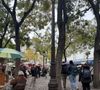 L'animateur star et la comédienne ont acheté une bâtisse à deux pas de la place du Tertre, en plein coeur de Montmartre.

La fameuse place du Tertre de Montmartre, le 7 novembre 2025. Photo : Clara Carlesimo