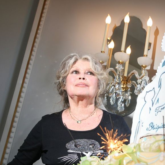 Brigitte Bardot en 2006
©Agence/Bestimage