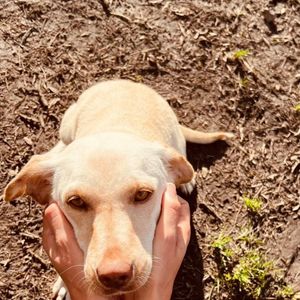 C'est la petite Colette qui a retenu l'attention de l'ancienne championne olympique.

Laure Manadou, Instagram 2024