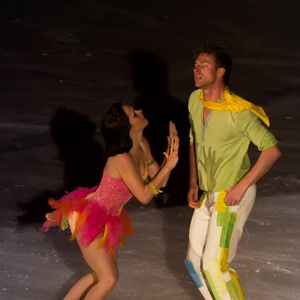 Ensemble, ils ont bravé le froid et la pression des plus grandes enceintes sportives mondiales. 

Nathalie Péchalat et Fabien Bourzat en spectacle avec l'équipe de France de patinage (avant-dernière date de la tournée)à Boulogne-Billancourt le 26 avril 2014