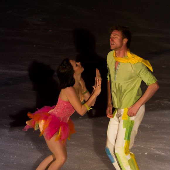 Ensemble, ils ont bravé le froid et la pression des plus grandes enceintes sportives mondiales. 

Nathalie Péchalat et Fabien Bourzat en spectacle avec l'équipe de France de patinage (avant-dernière date de la tournée)à Boulogne-Billancourt le 26 avril 2014